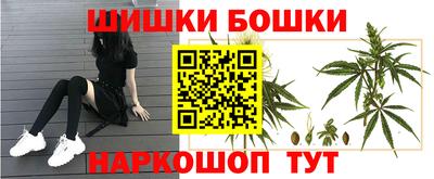 шишки Малгобек