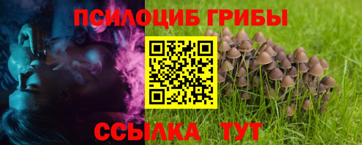 Псилоцибиновые грибы ЛСД Великий Новгород